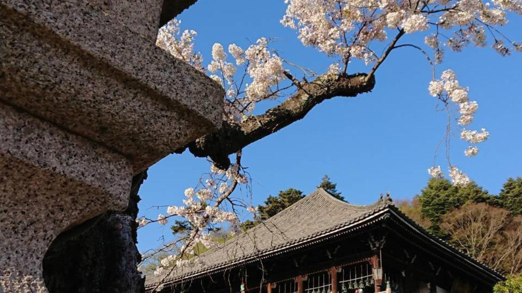 Nara Park Hotel Exterior photo